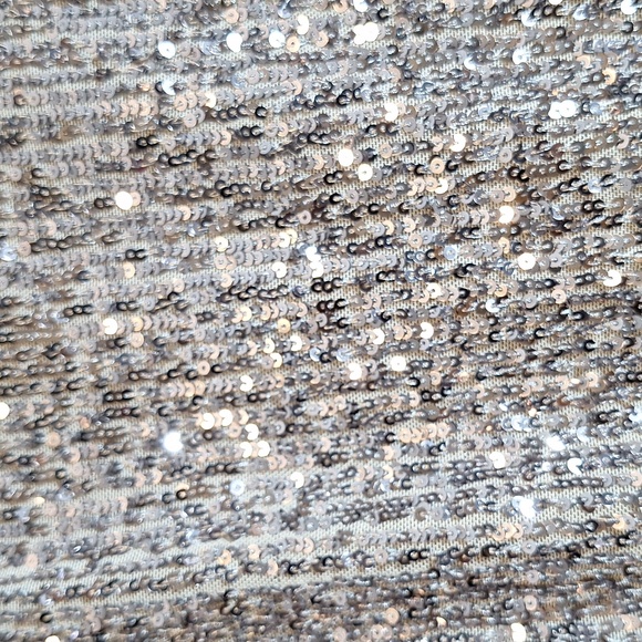 She + Sky Glittering Silver Sequin Cropped - Picture 3 of 7